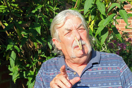 你闻起来很难闻.你的表情马来貘画像向你走来你的星云系列.