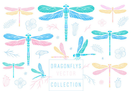 蜻蜓弹簧集素描风格收藏插入翅膀会徽符号蜻蜓叶子花朵棕榈叶枝粉红色蓝色细腻纹身手绘矢量彩色插图