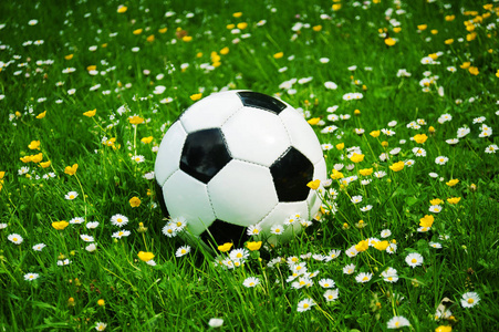 白色和黑色的足球是躺在草地之间的花朵