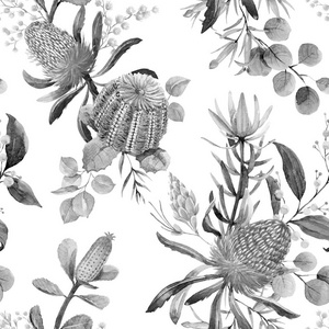 澳洲水彩 banksia 花卉图案