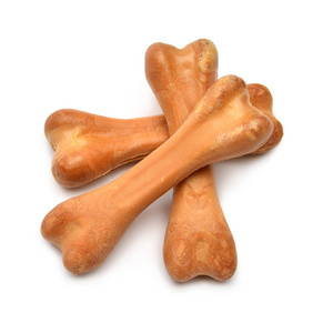 可爱的年轻的猎狗小狗咀嚼骨头黑色和灰色的迷你雪纳瑞小狗躺在地板上