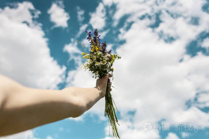 在蓝天上的野花花束美丽的天空与云彩女人的手捧着花束