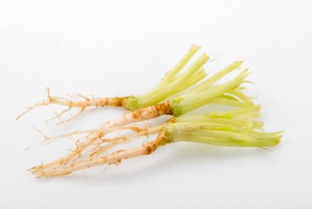 芹菜根图片