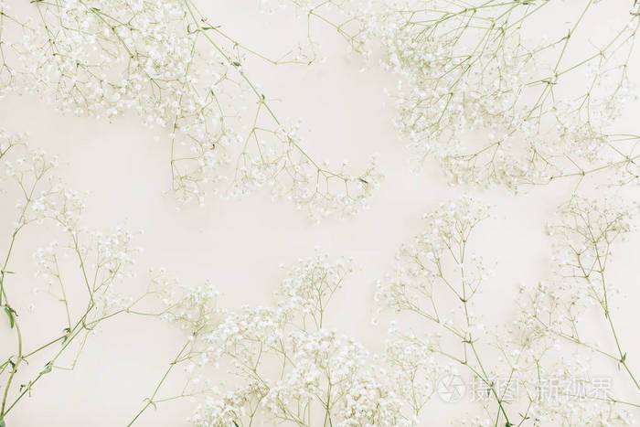 白色满天星花花束图案.平躺, 顶级景观节日背景