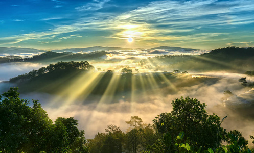 山坡上的日出一个松树林, 长着阳光穿过山谷与松树黄色阳光明媚的早晨