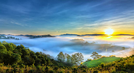 日出越过山坡, 太阳从地平线升起, 折射出明亮的黄色天空.