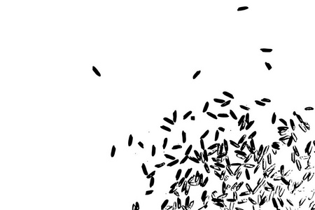 有机纹理.米片的剪影, 在平坦的表面或桌子上蔓延.顶部视图.矢量照片