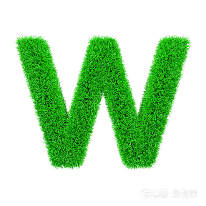 字母w大写绿草的草制字体3d渲染在白色背景下被隔离