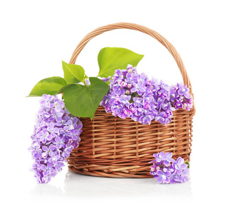 柳条篮与淡紫色的花