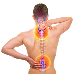 脊柱疼痛白真实解剖形态上孤立的男性伤害骨干