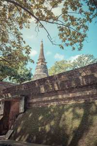 复古色调图像的 Wat Umong 蒜 Puthatham 寺的佛塔