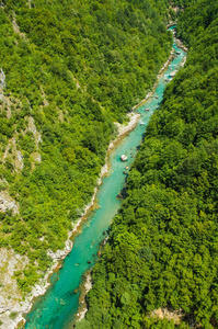 塔拉峡谷, 黑山。美国大峡谷后世界第二深峡谷