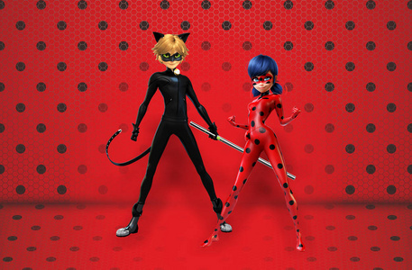 黑色背景的猫瓢虫和黑色猫背景照片