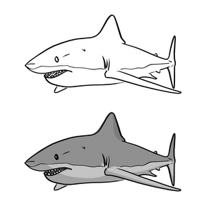灰色鲨鱼矢量图解素描手绘与黑色线隔开的白色背景