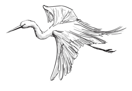 飞鹤插画-飞鹤手绘-飞鹤卡通图-摄图新视界