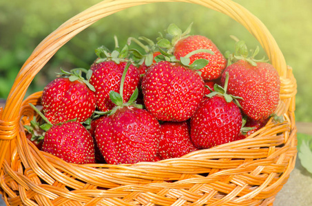 在柳条篮子的叶子草莓。新鲜的草莓篮子上的木桌上模糊的背景。乡土木背景草莓