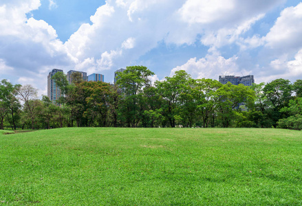 绿色草地公园风景秀丽