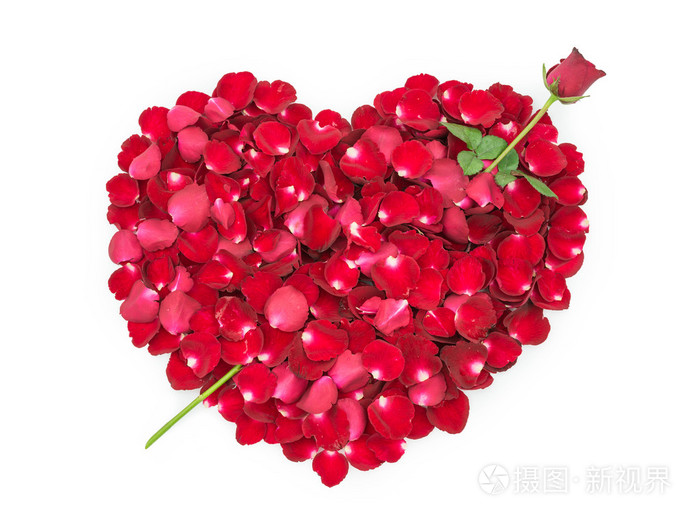 玫瑰花瓣中的一颗心玫瑰箭头形状