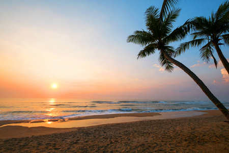 景观的热带海滩与棕榈树在日出