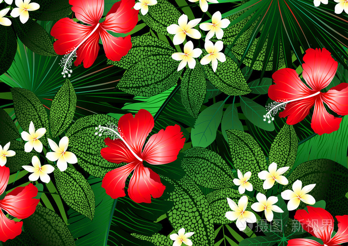 详细的热带花卉和植物插图