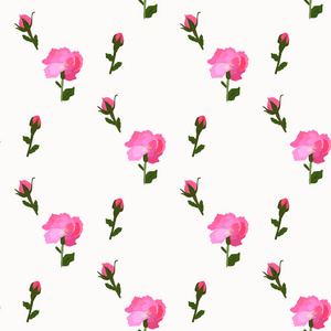 花粉红色牡丹绽放在无缝白色壁纸