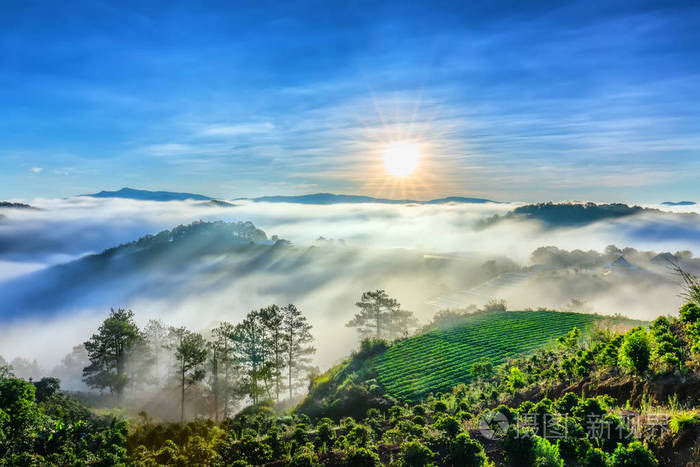 日出越过山坡太阳从地平线升起折射出明亮的黄色天空下面多云薄雾覆盖