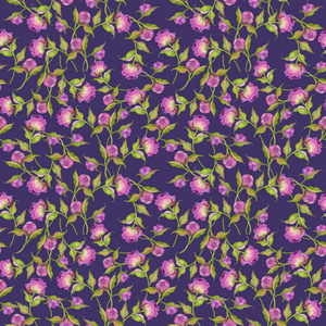 水彩插图, 粉红色的牡丹花, 芽与叶在深紫色的背景。织物包装纸礼品墙纸等印刷用图纸
