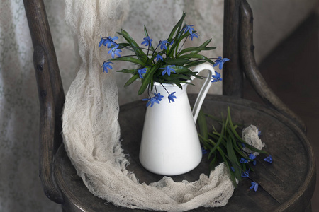 静物与蓝色的花朵。白色鲜花站在旧木椅子上水罐