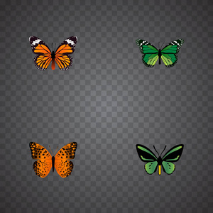 现实的君主 热带蛾 凤蝶和其他向量元素。橙色，一套现实符号还包括的蝴蝶飞，蝴蝶对象