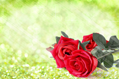 红玫瑰花束光绿色散景和文本的自由空间