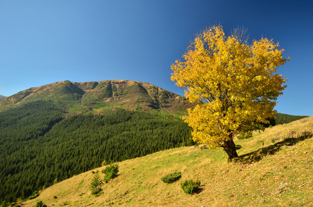 秋季景观的山