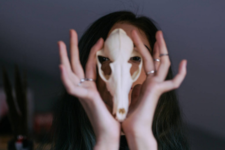 一个年轻的女孩 一只狐狸的手里拿着一个神秘的头骨的画像 画长长的头发照片 正版商用图片0xq8fi 摄图新视界