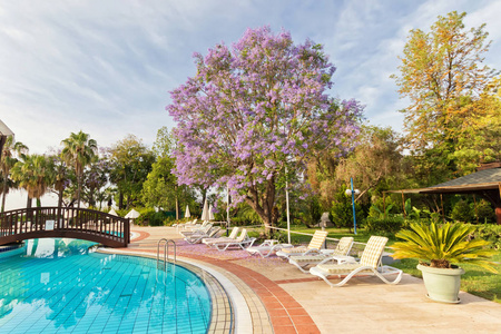 酒店周围有游泳池, 太阳床和热带植物的一般看法