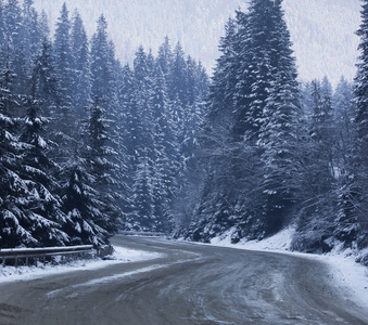 冬季道路被雪覆盖的树木包围