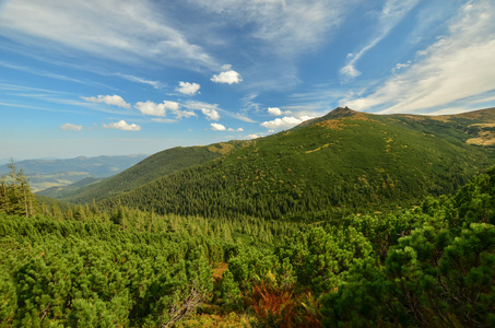 秋季景观的山