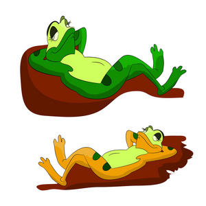 睡懒两只懒青蛙睡在鹅卵石上, 一个白色背景上的卡通片. 矢量照片