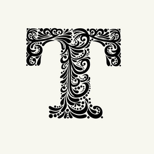 优雅的大写字母 t照片