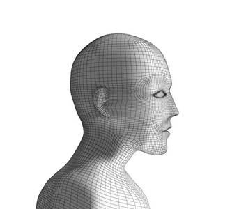 人类的头。白色线框模型。未来技术概念中的人工智能, 3d 插图