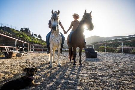 美丽的高加索夫妇在两匹马与太阳在背光和一只狗看着他们从地面。触摸手和美丽的动物为爱疗法