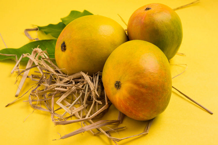 王的水果黄色的阿方索芒果果实二重奏与茎和绿叶孤立在藤篮，产品从马哈拉施特拉印度贡根中的白色背景上