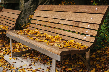 秋天公园里有黄色树叶的木凳。秋天场面