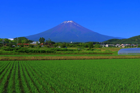 吉田日本蓝天富士山 06252018