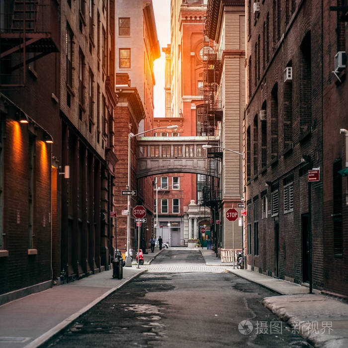 纽约城街在日落的时候老景区的街道在翠贝卡区在曼哈顿
