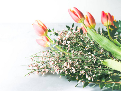 春天复活节郁金香花最小的柔和色彩背景