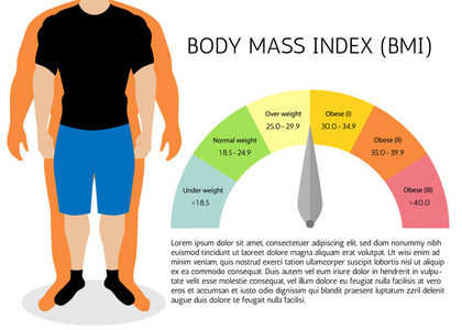 Bmi 或体质量指数图表图. 矢量图示