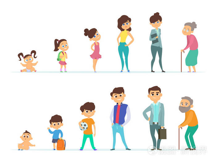 男性和女性的生命周期.青年与老年的不同特征