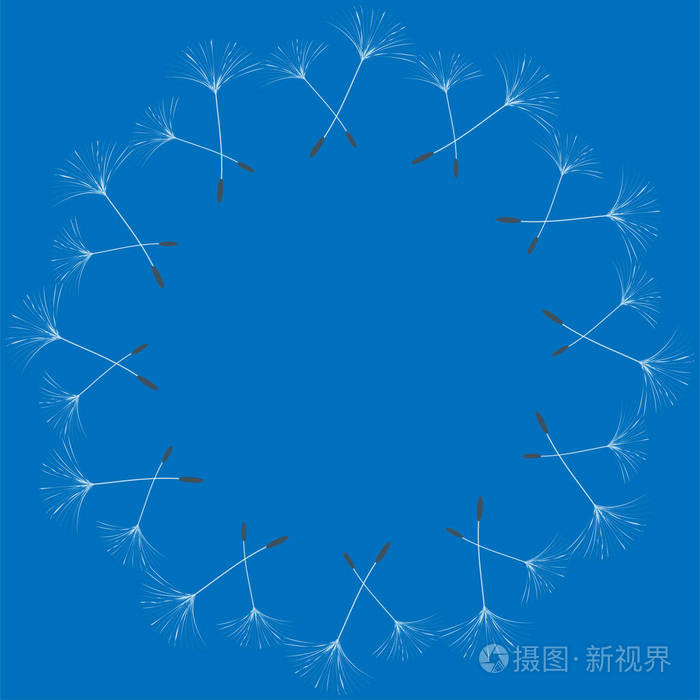 设计蒲公英的抽象框架