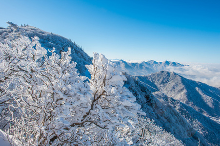 在冬天，韩国被晨雾覆盖 Seoraksan 山