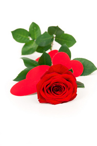 红玫瑰由纸做的心
