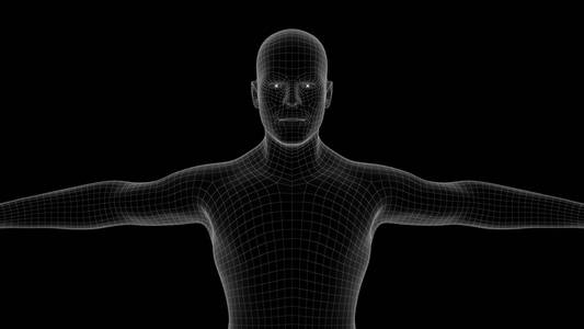 3d 人 x 射线全息图的图解照片